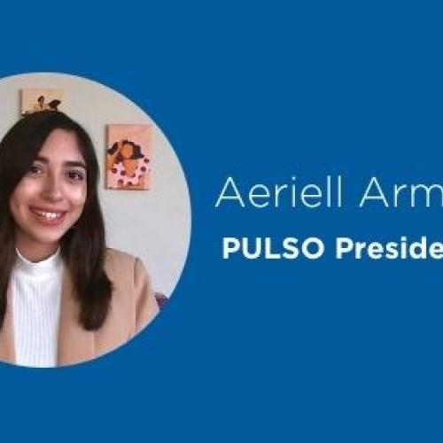 Arnell Armas, Pulso President Image