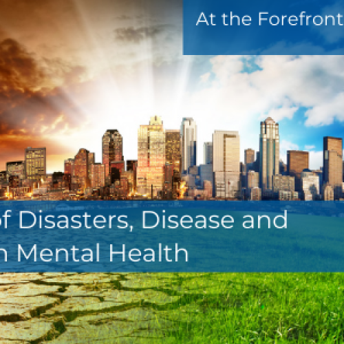 The Impact of Disaster Webinar graphic